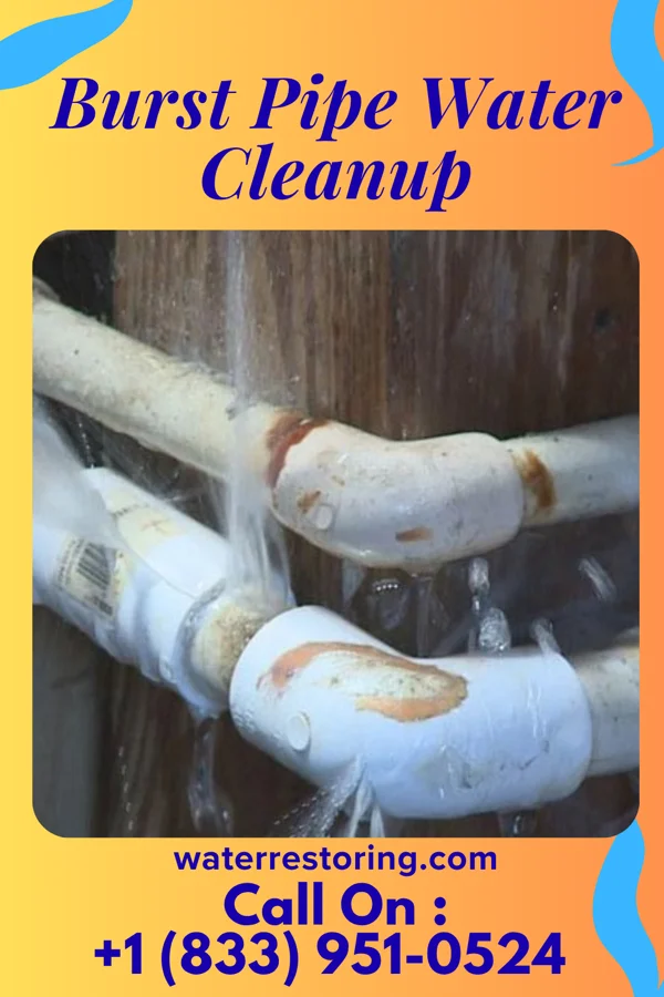 Burst Pipe Water Cleanup in Florissant, MO