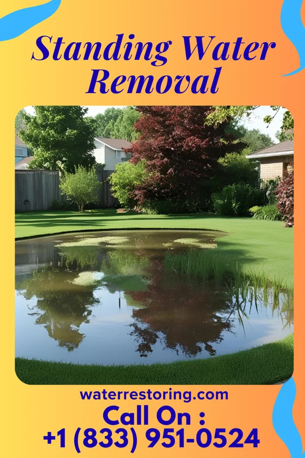 Standing Water Removal in Florissant, MO